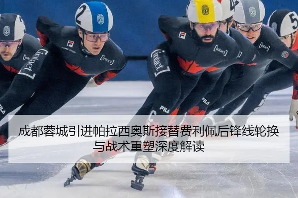 cheng-du-rong-cheng-yin-jin-pa-la-xi-ao-si-jie-ti-fei-li-pei-hou-feng-xian-lun-huan-yu-zhan-shu-zhong-su-shen-du-jie-du-2-719.jpg