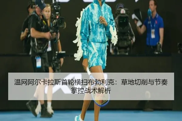 wen-wang-a-er-ka-la-si-shou-lun-heng-sao-bu-bo-li-ke-cao-di-qie-xiao-yu-jie-zou-zhang-kong-zhan-shu-jie-xi-2-329.jpg
