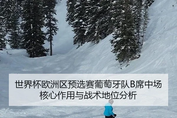 世界杯欧洲区预选赛葡萄牙队B席中场核心作用与战术地位分析