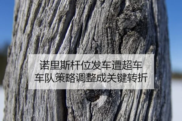 诺里斯杆位发车遭超车 车队策略调整成关键转折